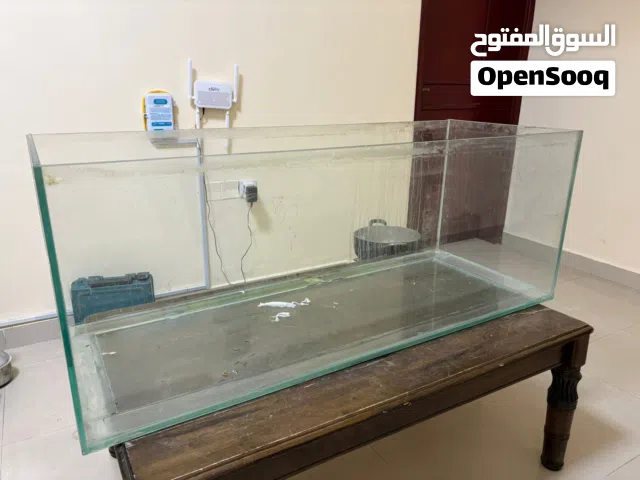 Big Fish Tank *FOR SALE*