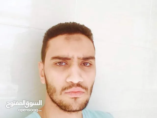 محمد حنفي علي