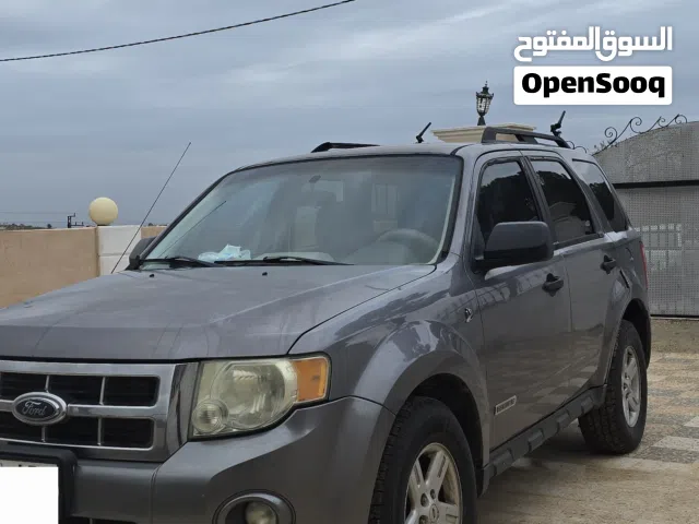 2008, فورد, اسكايب, Standard