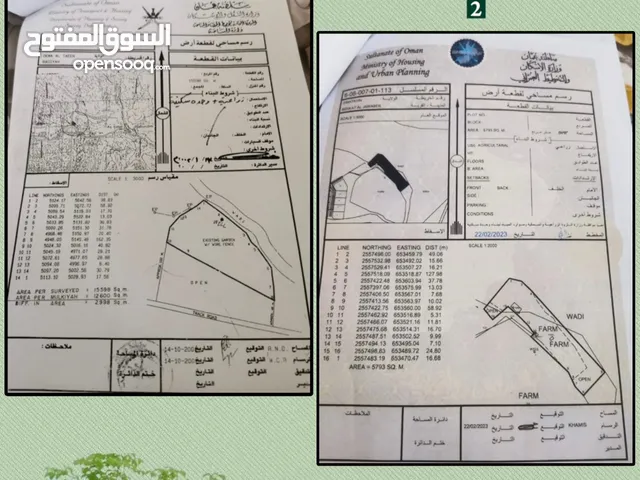 الشريقة دماء والطائيين مزرعتين شبك