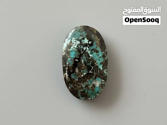 فيروز نيشابوري طبيعي