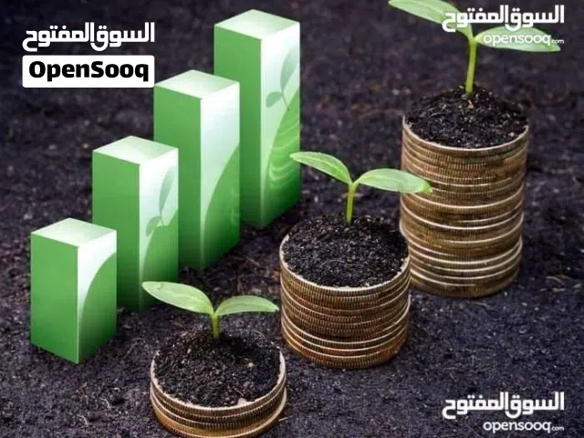 أستاذ محاسبة و اقتصاد حاصل على الامتياز لطلاب الجامعات