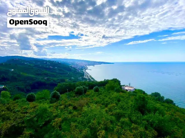 Furnished Daily in Trabzon Yomra