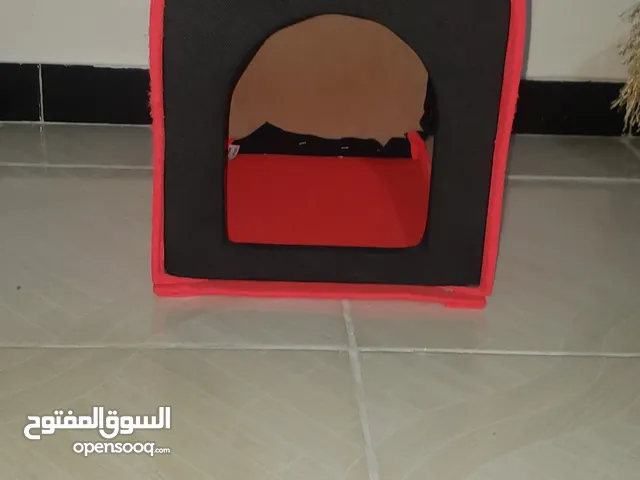 بيت للقطط مستعمل نضيف