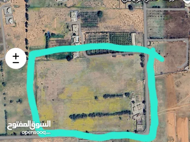 مزرعة 11 هكتار للبيع (العزيزية.الزيات )