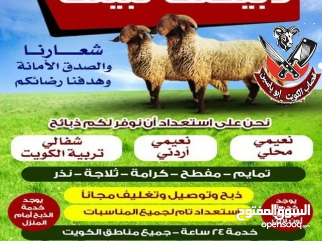قصاب تحت الطلب