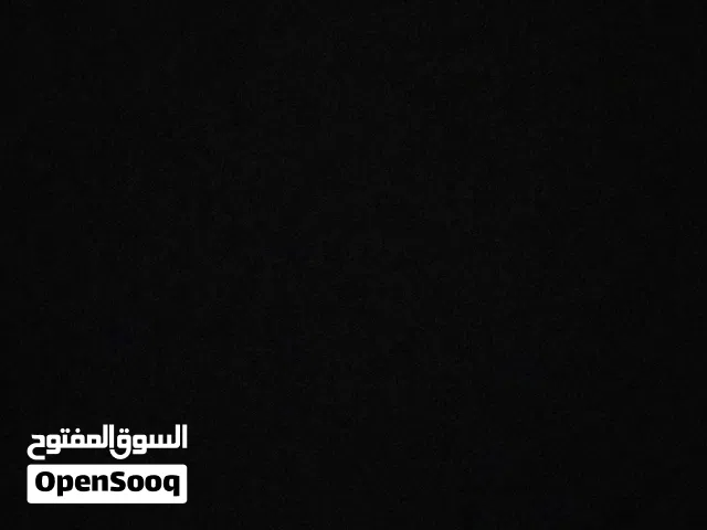 مطلوب جرو بيتبول للتبني