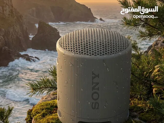 Sony speaker xb100