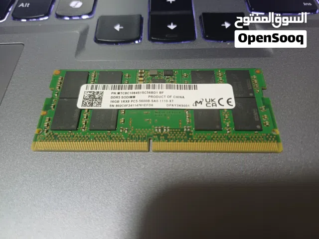 16Gb RAM DDR5 PC5 5600d (Laptop)