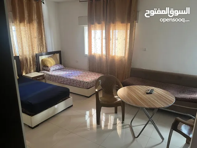 30 m2 Studio Apartments for Rent in Ramallah and Al-Bireh Ein Munjid