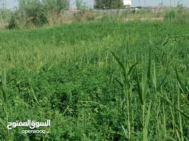 Mixed Use Land for Sale in Karbala Oun