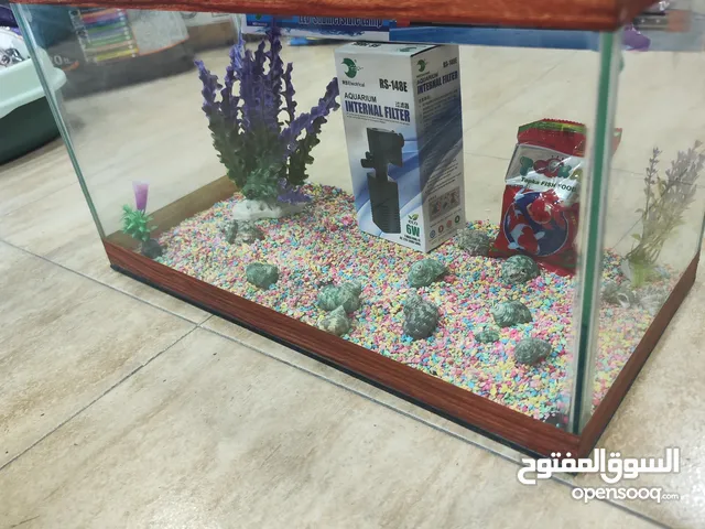 للبيع حوض سمك مجهز بالكامل! حوض أنيق بتصميم عصري، يحتوي فلتر .احجار ، صدف، انارة لد، عشب كامل