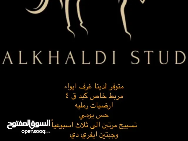 ايواء خيل كبد