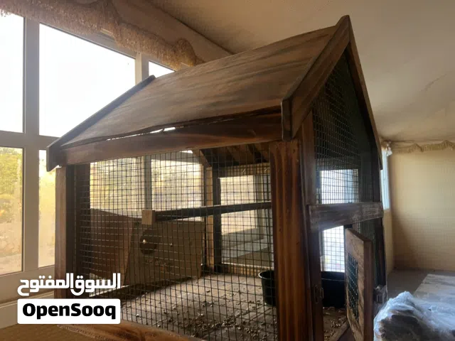 قفص بغبغاء على 350