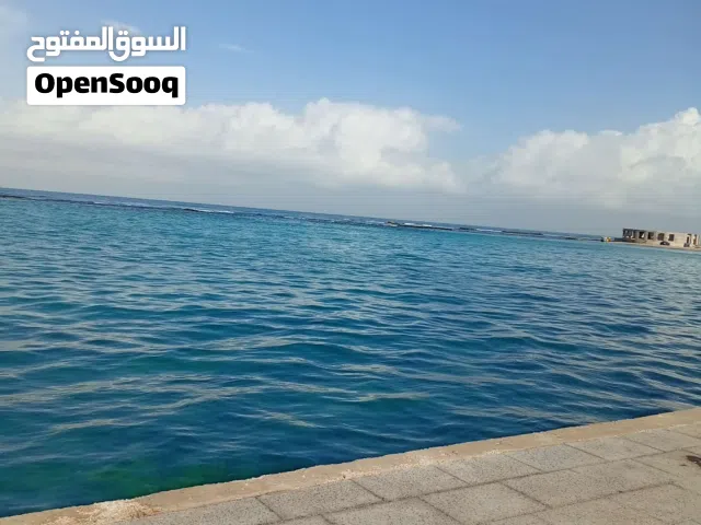 70 m2 Studio Apartments for Rent in Tripoli Airport Road