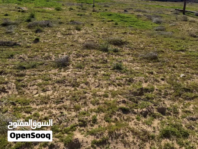 Farm Land for Sale in Tripoli Ghout Abu Saq