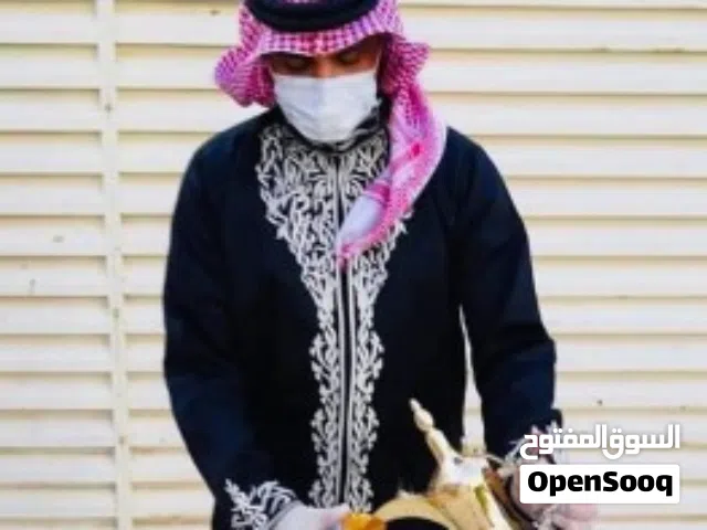 قهوجي و قهوجيات ومباشرة ومباشرات