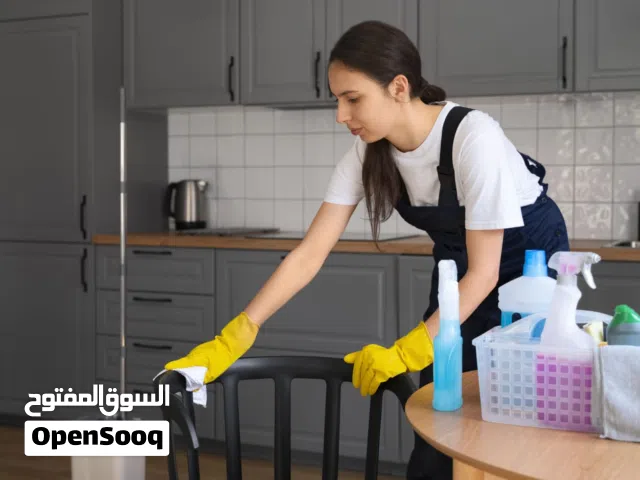 cleaning and care giver