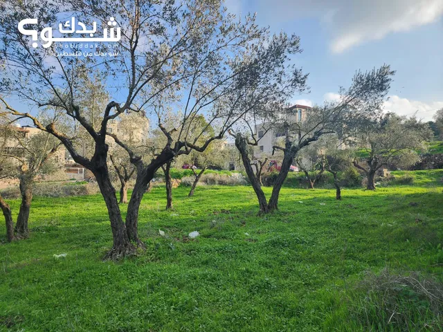 Residential Land for Sale in Ramallah and Al-Bireh Beitunia