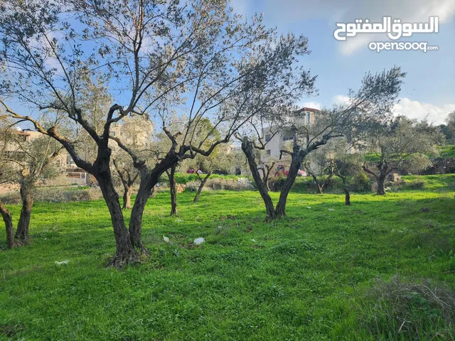 Residential Land for Sale in Ramallah and Al-Bireh Beitunia