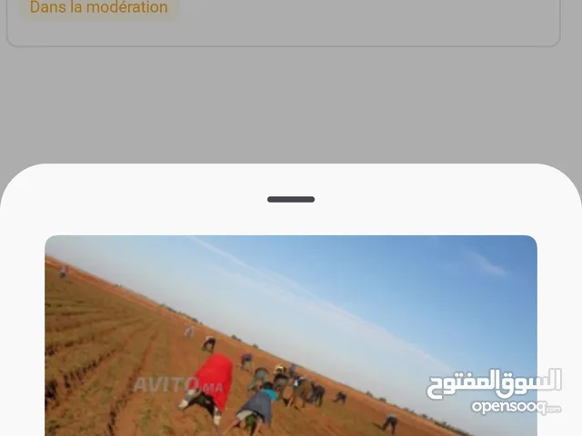 Farm Land for Sale in El Jadida Other