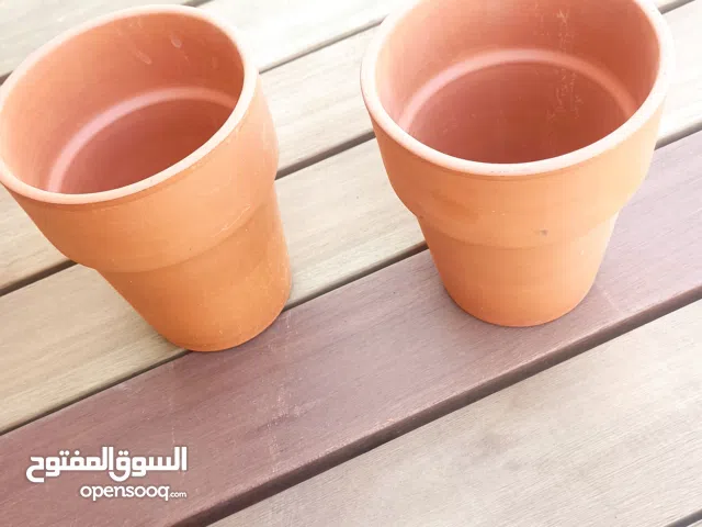 احواض نبات فخر