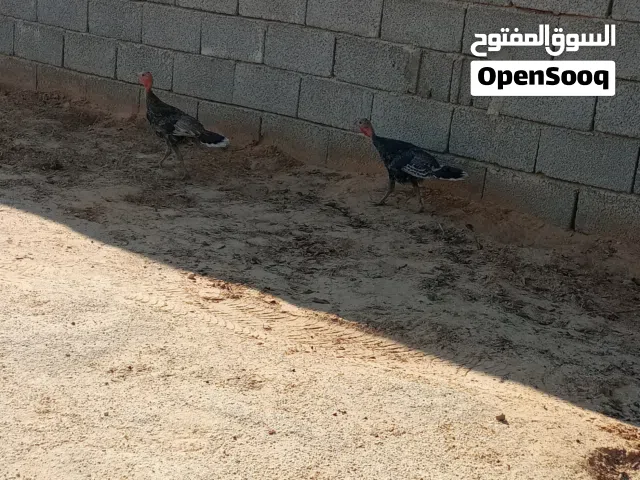 ديكرومي للبيع