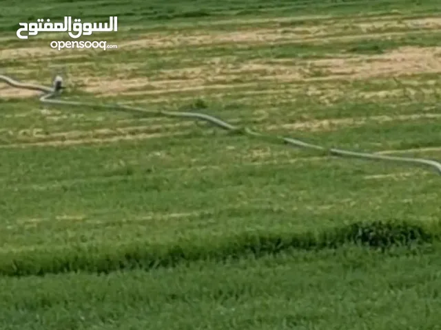 Farm Land for Sale in Amman Umm Al-Rasas