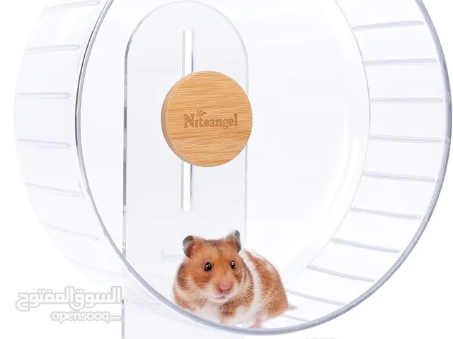 Hamster wheel and water bottle