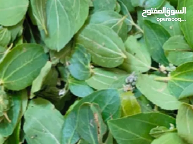 ابن تهامه لأجود انواع السدر ورق ومطحون