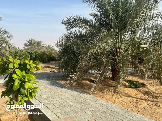 4 Bedrooms Farms for Sale in Al Ain Remah
