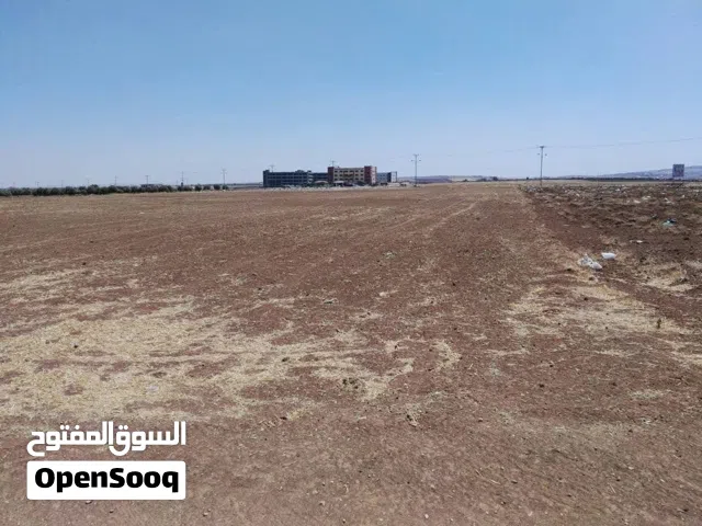 ارض للبيع شارع البتراء من المالك