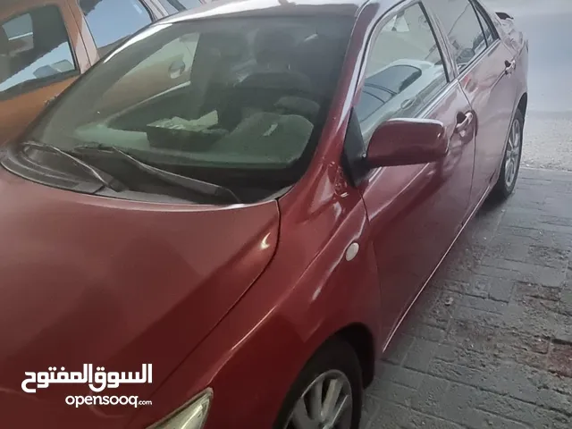 كوريلا للبيع