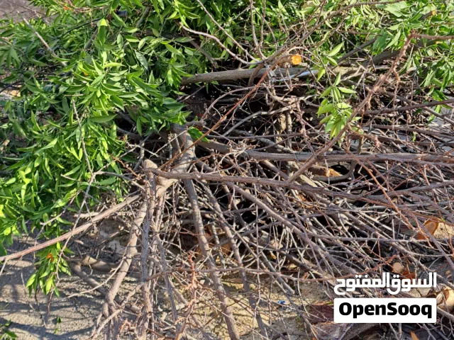 حطب مجانا للمواقد شرط اخذ الكميه كامله