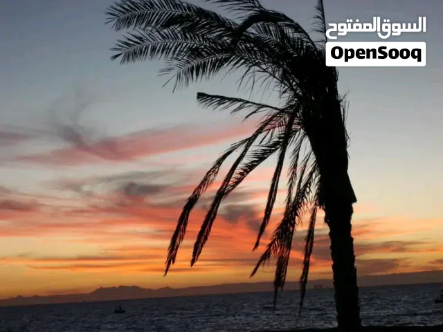 اسطي زواق ليبي داخلي وخارجي