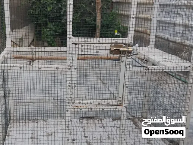 قفص للبيع يرهم لجميع انواع الطيور كوكتيل غنور طيور حب بلابل قفص مرتب السعر والعنوان أقرأ الوصف