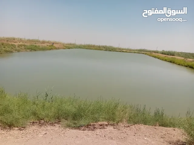 شريك مالي مشروع احواض سمك في ايران