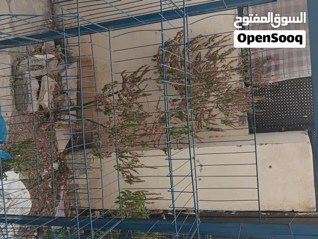 ستند لبيع الشبس بسعر مغري