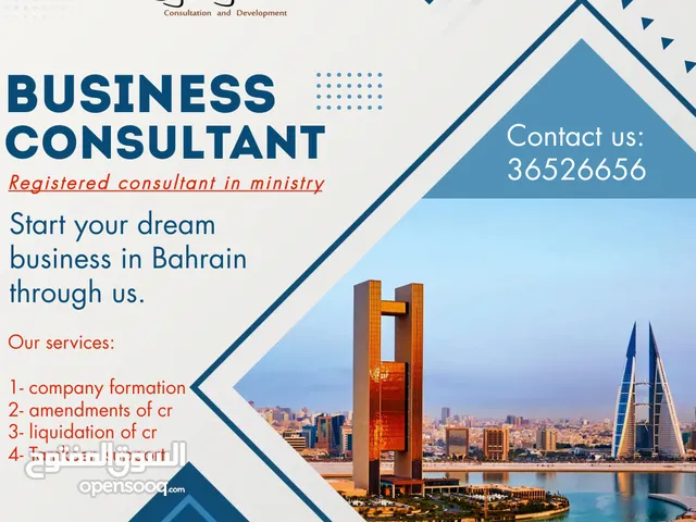 "Leaders in Professional Company Formation & Governance"