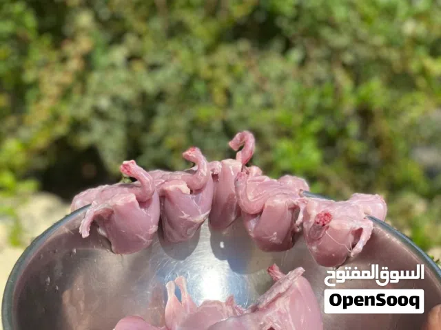 سمان للبيع الموقع السويق الحبه ب 400 مع الذبح