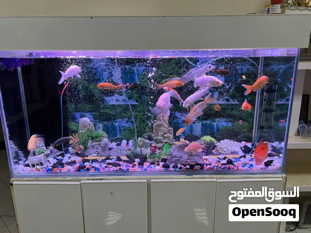 Fish aquarium for sale