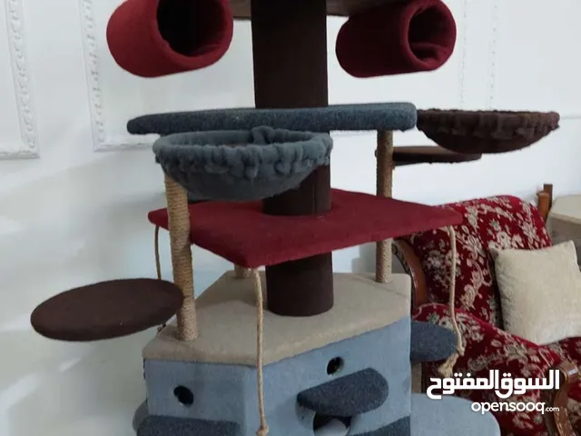 بيت و خداشة قطط للبيع