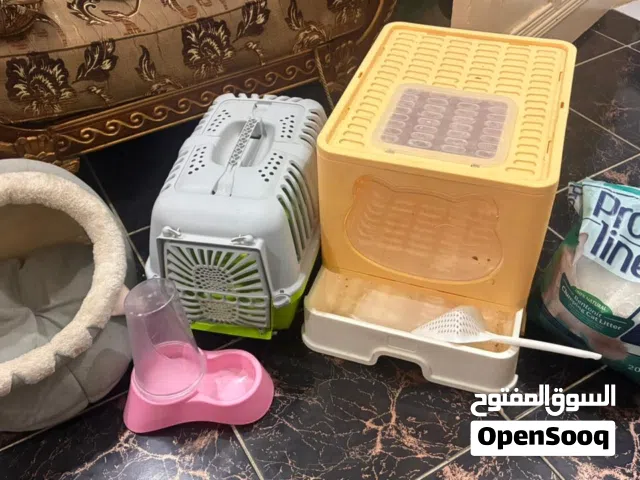 مستلزمات قطط كاملة للبيع بحالة ممتازة