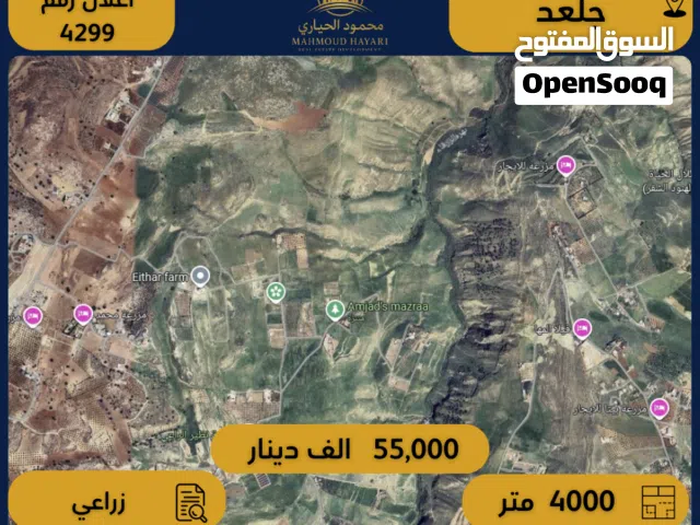 رقم الاعلان (4299) ارض زراعية للبيع في منطقة جلعد