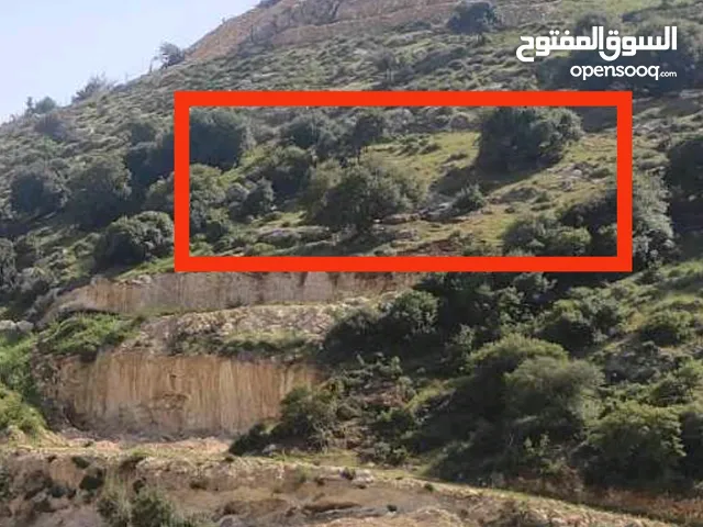 Mixed Use Land for Sale in Bethlehem Other