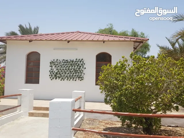 2 Bedrooms Farms for Sale in Al Batinah Al Masnaah
