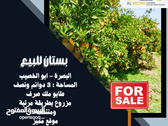 بستان للبيع البصرة - ابو الخصيب  3 دونم ونصف