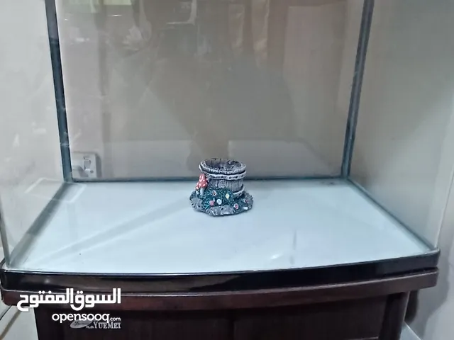 Fish Tank with cupboard stand for sale