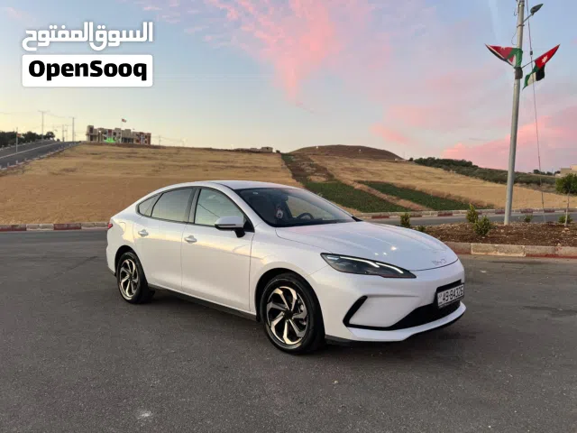 2025 بي واي دي سيل