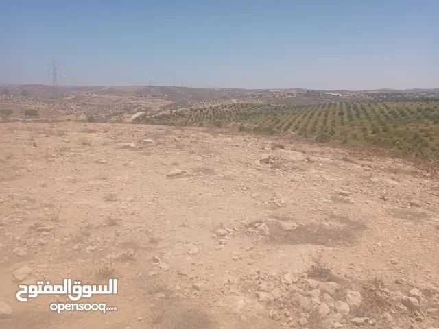 هكتارات تجارية عالرئيسي طريق اللوزات للبيع قبل المكب